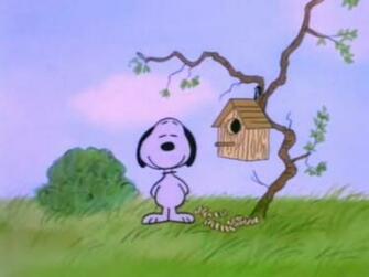 Snoopy Spring Wallpaper Weddingdressin