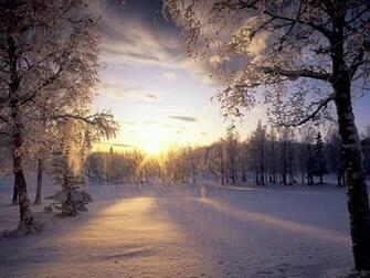 Snow Wallpaper Desktop Background