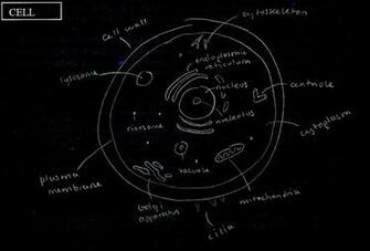 Cell Biology Wallpaper Of Houses Mobile