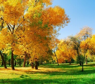 Autumn Season Wallpaper Screensaver Pre Id