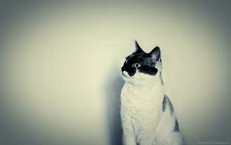 Hipster Photography Desktop Background Laptop Wallpaper