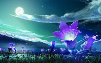 Tag Windows Flowers Wallpaper Background Photos Image And