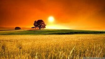 Wide HDq Pretty Sunny Day Wallpaper B Scb