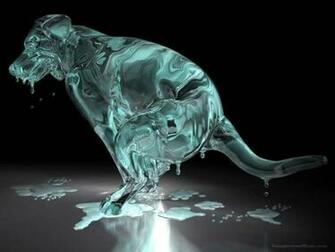 3d Animal Background HD Wallpaper