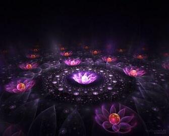 Lotus Flower Wallpaper