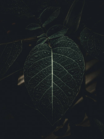Black iPhone Wallpaper
