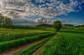 Wallpaper Nature Landscape Scenery Desktop