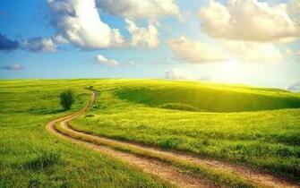 Summer Day Meadow Wallpaper Pictures Background Mural