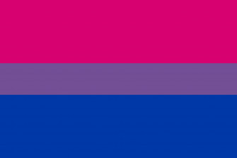 Bisexual Pride Flag HD Wallpaper