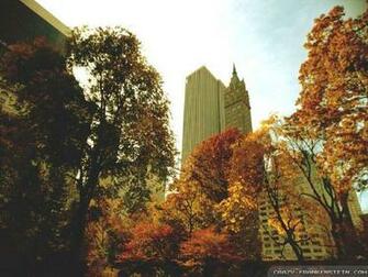Beautiful Autumn Wallpaper