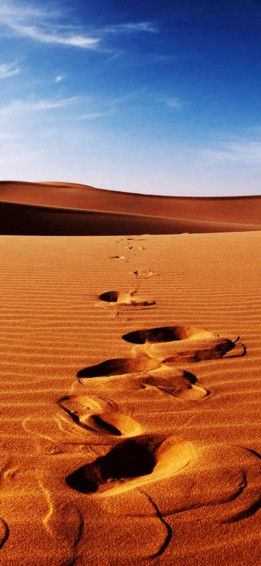 Nature Sunlight Bright Desert Landscape iPhone X Wallpaper