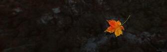 Background Hq Picture Photo Desktop Wallpaper Jpg X