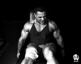 Animal Pak Wallpaper Bodybuilding Forums