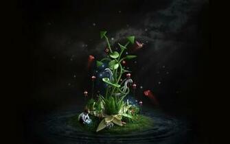 Superb Life Uncategorized Wallpaper Best HD Photos
