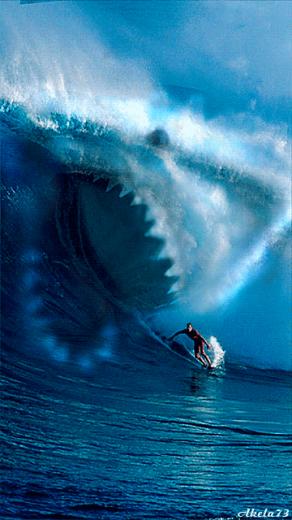 Surfing Wallpaper Screensaver Pre Id Umnet