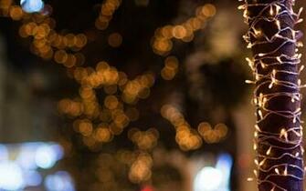 Pretty Christmas Lights Wallpaper