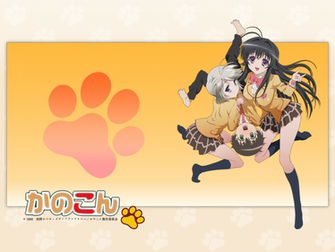 Kanokon Nekomimi Wallpaper Hq