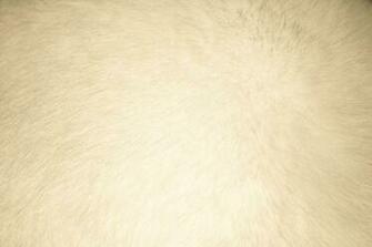 Cream Colored Background