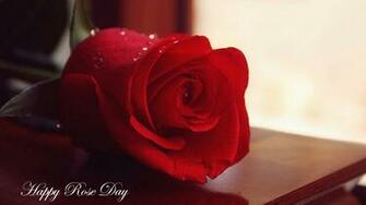 Happy Rose Day With Beauytiful Rpse Top Wallpaper HD