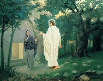 The Church Of Jesus Christ Latter Day Saints