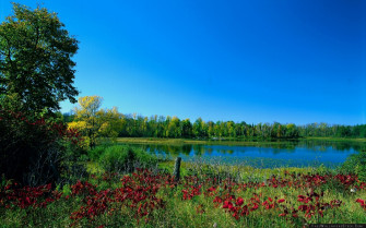 Early Fall Desktop Wallpaper
