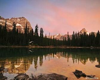 Nature Wallpaper HD Landscape