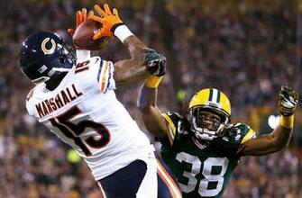 Go Back Image For Brandon Marshall Bears ToucHDown