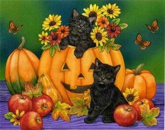 Catsflower Flowers Black Catfoodgrey Eyesbutterflypumpkinhalloween