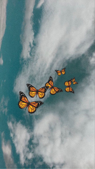 Butterfly Wallpaper