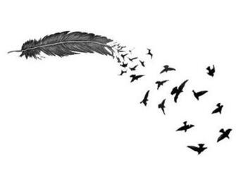 Feather Wallpaper Google Search On We Heart It