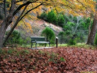 Desktop Wallpaper Fall Season In HD