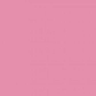 Charm Pink Solid Color Background