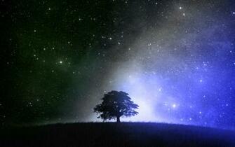 Mti And The Stars At Night Time Bila Mpangilio Karatasi La