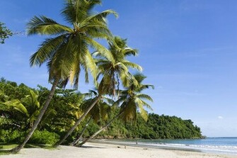 Tourism Grenada Island
