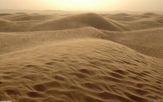 Sand Dunes In The Desert Wallpaper Open Walls