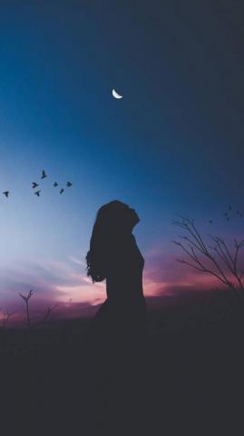 Silhouette Wallpaper By P3tr1t A4 Now