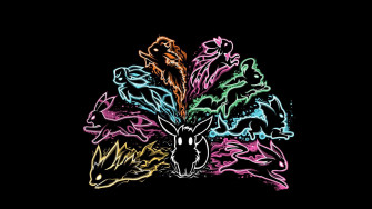 Eevee Evolutions Wallpaper