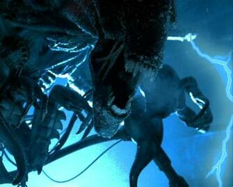 Alien Queen Avp Wallpaper