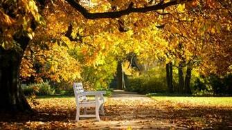 Sunny Autumn Day HD Desktop Wallpaper Widescreen High Definition