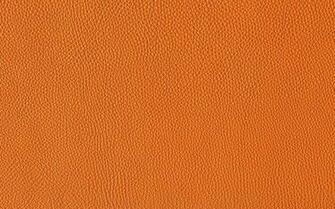 Hermes Wallpaper Katie Armour Taylor