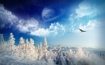 Winter Wonderland Wallpaper HD