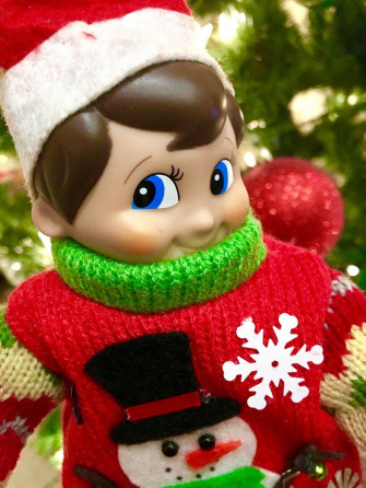Elf On The Shelf Phone Wallpaper Lilies And Loafers