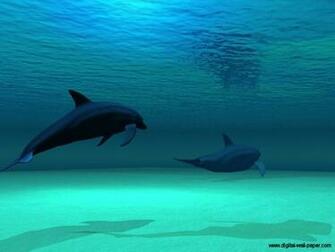 3d Graphics Dolphins