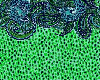 That Peachy Belle Lilly Pulitzer