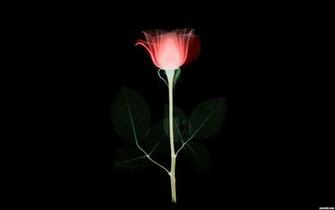 Set As Desktop Background Wallpaper Photography Archive