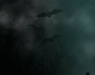Movie Poster Background Horror Design