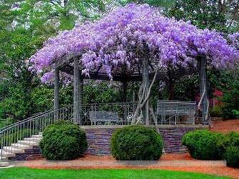 Beautiful Spring Wallpaper Imagepk