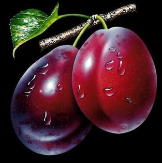 Plum Background Png Picpng