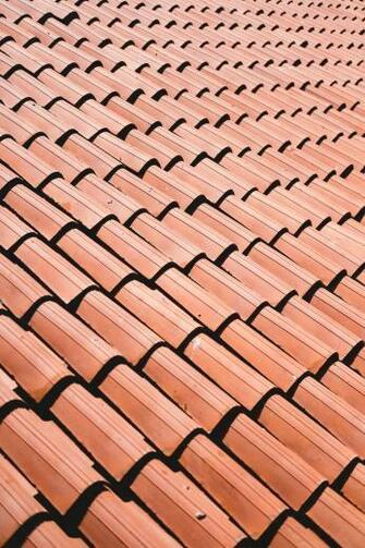 Roof Pictures Image