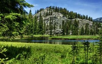 Wallpaper Yellowstone National Park Usa Mountain River Spruce